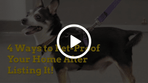 4 Ways to Pet-Proof Your Home After Listing It!