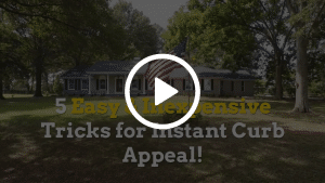 5 Easy & Inexpensive Tricks for Instant Curb Appeal